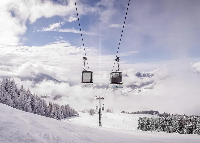 2 Pièces Avec Terrasse, Animaux Admis, Proche Pistes - - Fr-1-453-225 Appartement *